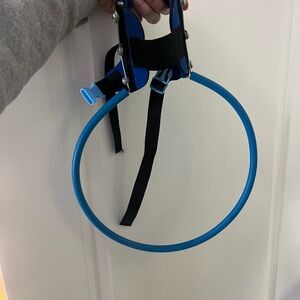 Blind Dog Harness Guiding Device